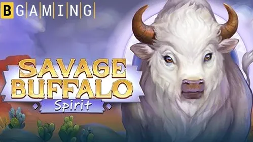 Slot game cover