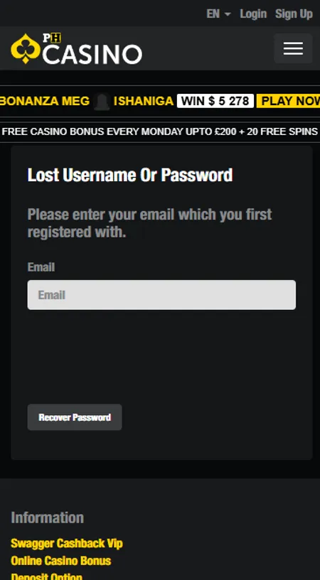 Password recovery screen showing email reset field